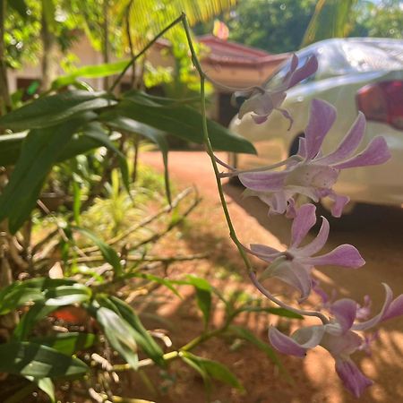 Grand Refuge Holiday Rooms Anuradhapura Luaran gambar